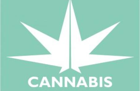 cannabis-300x225.jpg